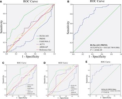 Association between lncRNAs in plasma exosomes and diabetic retinopathy